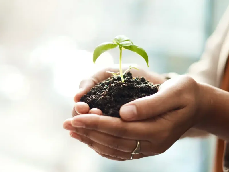 certificazione ISO 14001