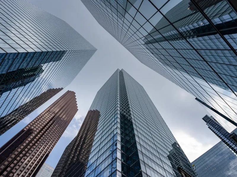 CRIBIS Prime Company